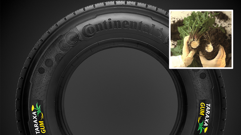 Κι όμως φτιάχνονται ελαστικά από… ρωσικά ραδίκια